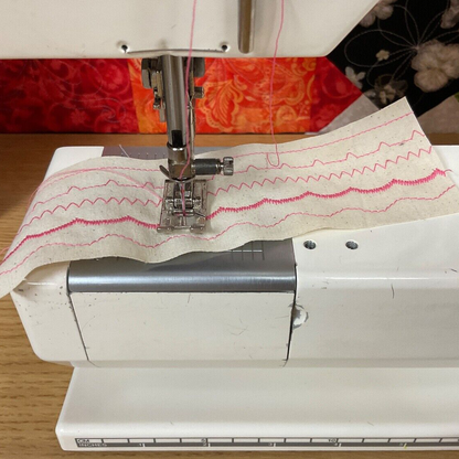 Bernina 1008 Sewing Machine